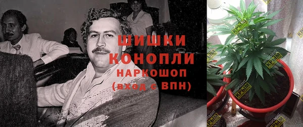 амф Нея