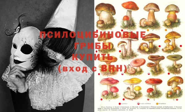 амф Нея