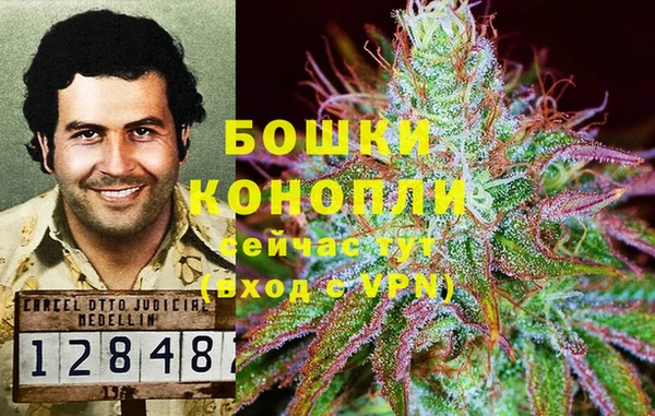 амф Нефтекумск